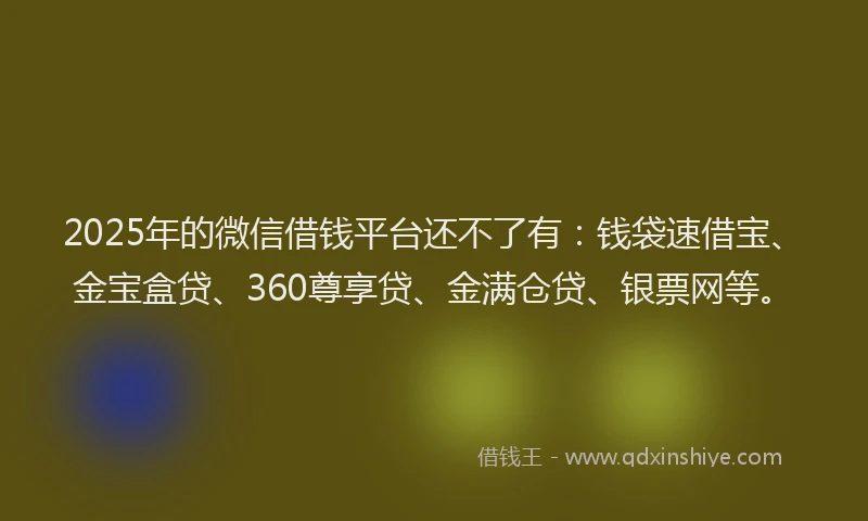 2025年的微信借钱平台还不了有：钱袋速借宝、金宝盒贷、360尊享贷、金满仓贷、银票网等。