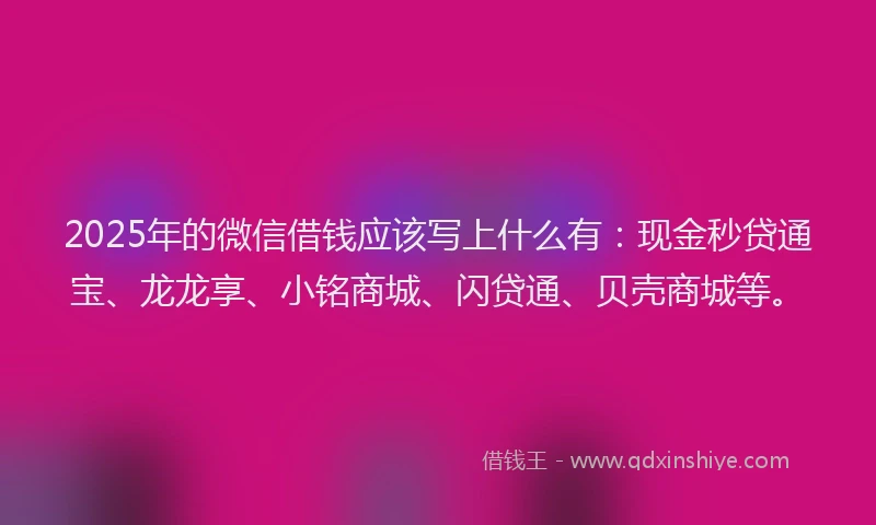 2025年的微信借钱应该写上什么有：现金秒贷通宝、龙龙享、小铭商城、闪贷通、贝壳商城等。