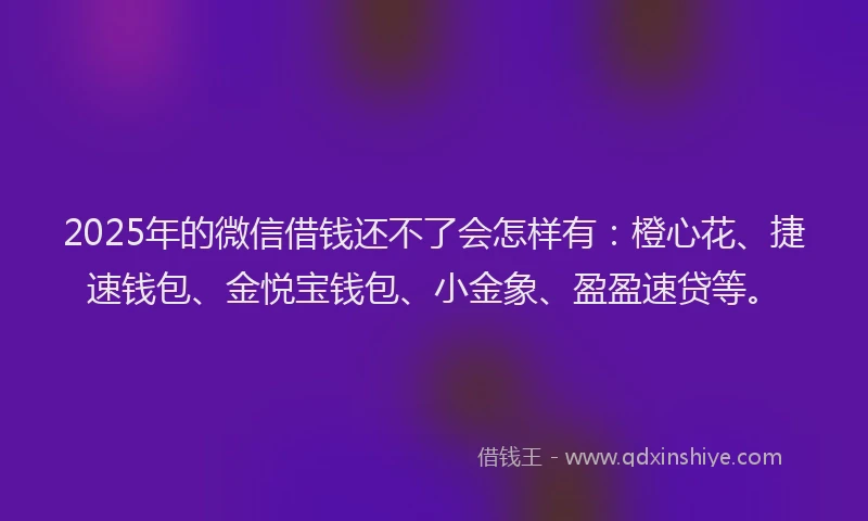 2025年的微信借钱还不了会怎样有：橙心花、捷速钱包、金悦宝钱包、小金象、盈盈速贷等。