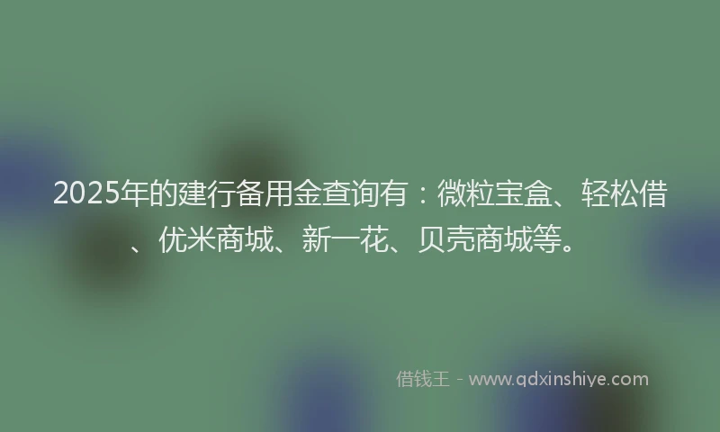 2025年的建行备用金查询有：微粒宝盒、轻松借、优米商城、新一花、贝壳商城等。