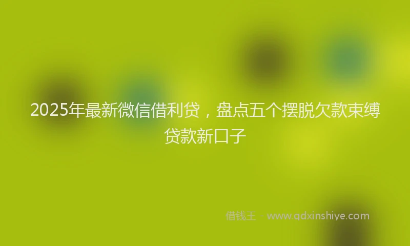 2025年最新微信借利贷，盘点五个摆脱欠款束缚贷款新口子