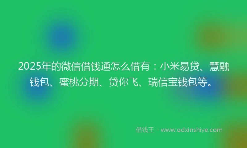 2025年的微信借钱通怎么借有：小米易贷、慧融钱包、蜜桃分期、贷你飞、瑞信宝钱包等。