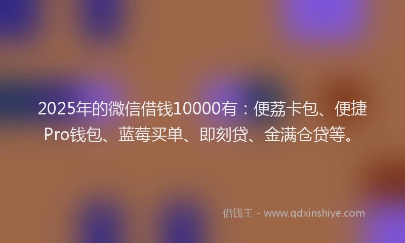 2025年的微信借钱10000有：便荔卡包、便捷Pro钱包、蓝莓买单、即刻贷、金满仓贷等。