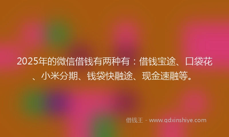 2025年的微信借钱有两种有：借钱宝途、口袋花、小米分期、钱袋快融途、现金速融等。