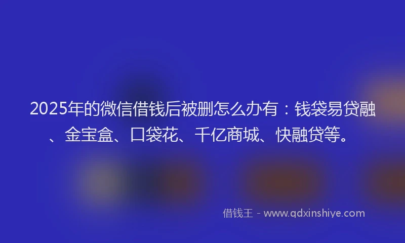 2025年的微信借钱后被删怎么办有：钱袋易贷融、金宝盒、口袋花、千亿商城、快融贷等。
