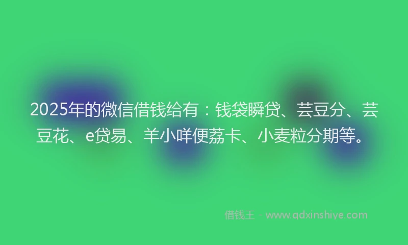 2025年的微信借钱给有：钱袋瞬贷、芸豆分、芸豆花、e贷易、羊小咩便荔卡、小麦粒分期等。