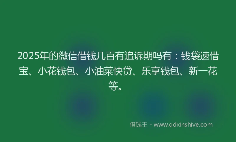 2025年的微信借钱几百有追诉期吗有：钱袋速借宝、小花钱包、小油菜快贷、乐享钱包、新一花等。
