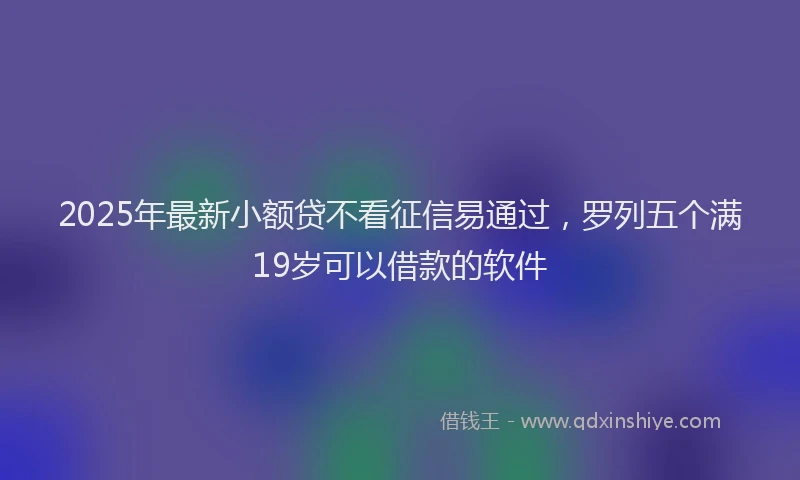 2025年最新小额贷不看征信易通过，罗列五个满19岁可以借款的软件
