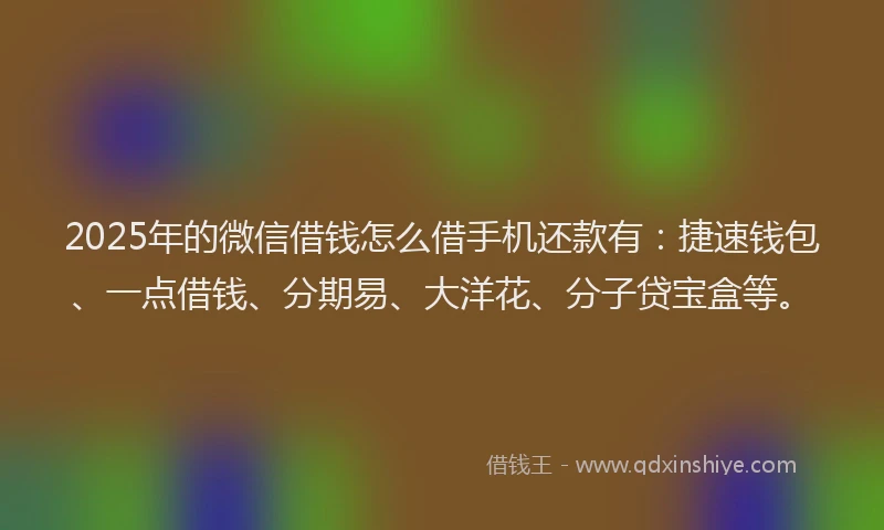 2025年的微信借钱怎么借手机还款有：捷速钱包、一点借钱、分期易、大洋花、分子贷宝盒等。