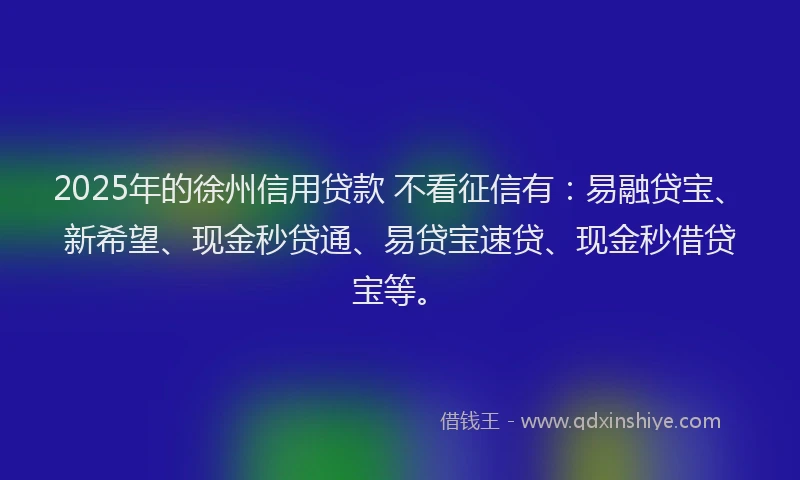 2025年的徐州信用贷款 不看征信有：易融贷宝、新希望、现金秒贷通、易贷宝速贷、现金秒借贷宝等。