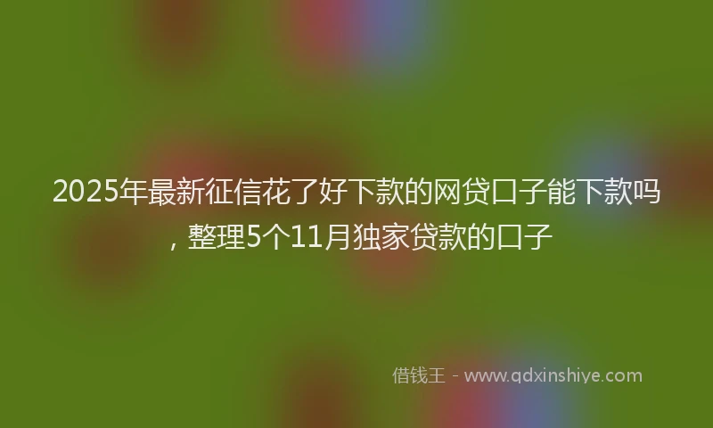 2025年最新征信花了好下款的网贷口子能下款吗，整理5个11月独家贷款的口子
