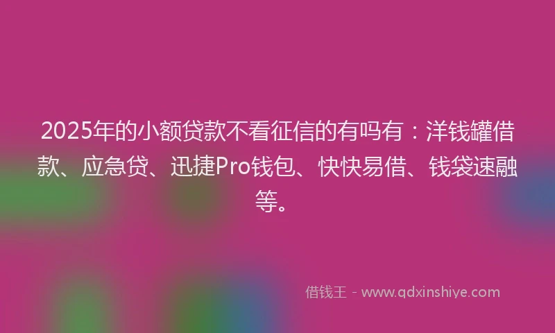 2025年的小额贷款不看征信的有吗有：洋钱罐借款、应急贷、迅捷Pro钱包、快快易借、钱袋速融等。