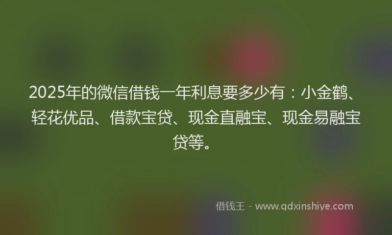 2025年的微信借钱一年利息要多少有：小金鹤、轻花优品、借款宝贷、现金直融宝、现金易融宝贷等。