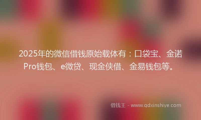 2025年的微信借钱原始载体有：口袋宝、金诺Pro钱包、e微贷、现金侠借、金易钱包等。