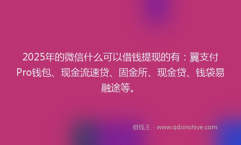 2025年的微信什么可以借钱提现的有：翼支付Pro钱包、现金流速贷、固金所、现金贷、钱袋易融途等。