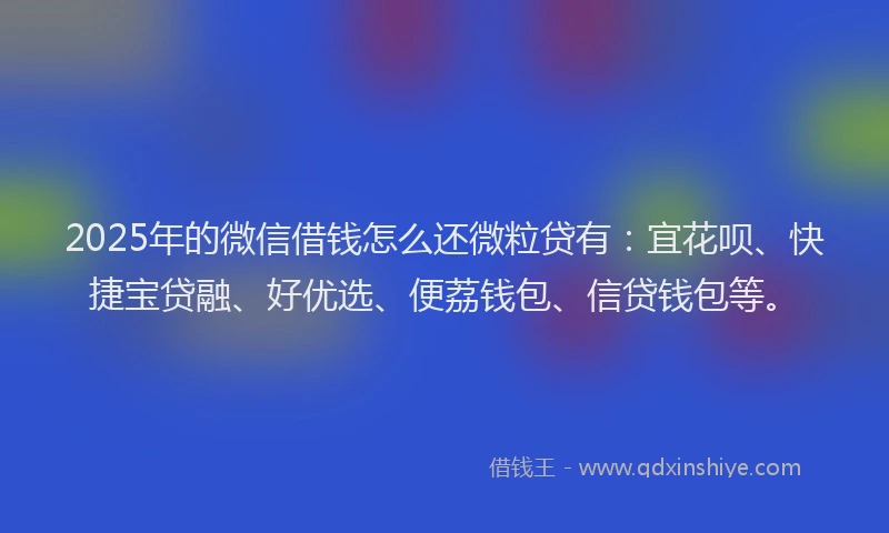 2025年的微信借钱怎么还微粒贷有：宜花呗、快捷宝贷融、好优选、便荔钱包、信贷钱包等。