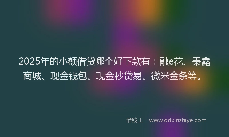 2025年的小额借贷哪个好下款有：融e花、秉鑫商城、现金钱包、现金秒贷易、微米金条等。