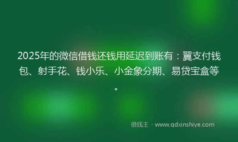 2025年的微信借钱还钱用延迟到账有：翼支付钱包、射手花、钱小乐、小金象分期、易贷宝盒等。