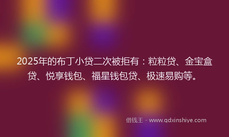 2025年的布丁小贷二次被拒有：粒粒贷、金宝盒贷、悦享钱包、福星钱包贷、极速易购等。