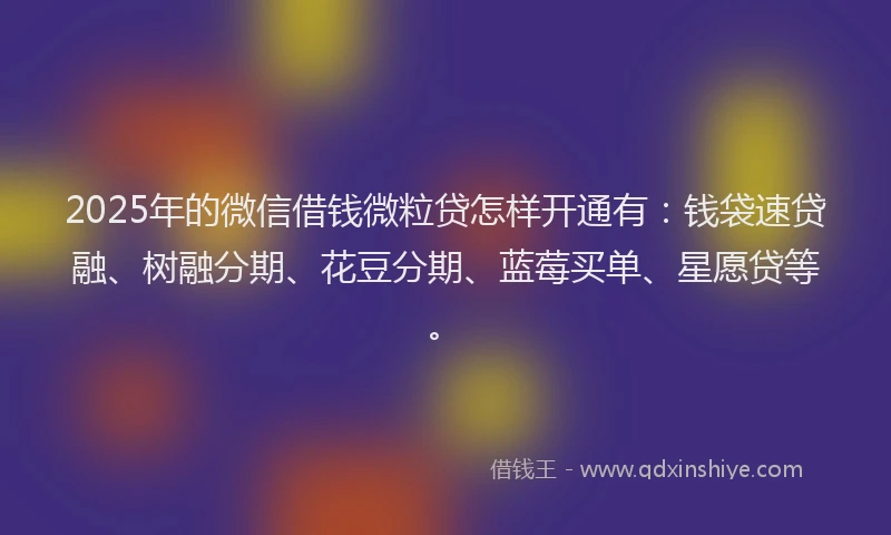 2025年的微信借钱微粒贷怎样开通有：钱袋速贷融、树融分期、花豆分期、蓝莓买单、星愿贷等。