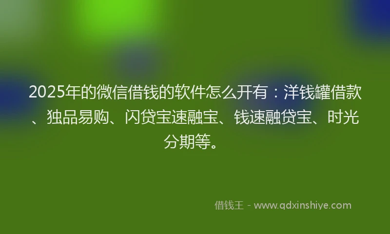 2025年的微信借钱的软件怎么开有：洋钱罐借款、独品易购、闪贷宝速融宝、钱速融贷宝、时光分期等。