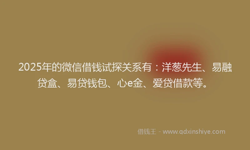 2025年的微信借钱试探关系有：洋葱先生、易融贷盒、易贷钱包、心e金、爱贷借款等。