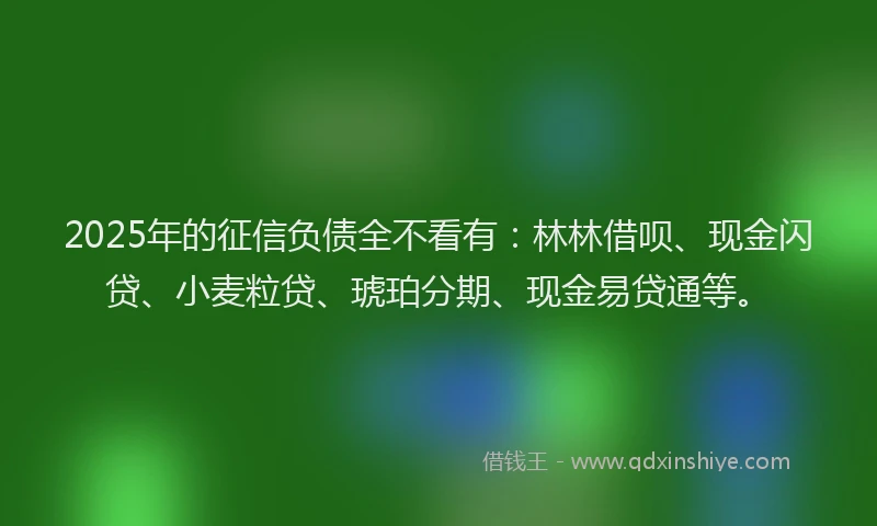 2025年的征信负债全不看有：林林借呗、现金闪贷、小麦粒贷、琥珀分期、现金易贷通等。