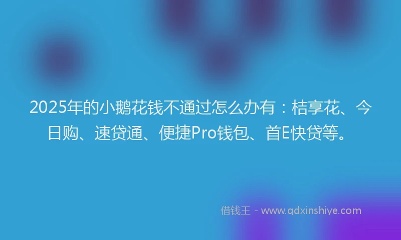 2025年的小鹅花钱不通过怎么办有：桔享花、今日购、速贷通、便捷Pro钱包、首E快贷等。