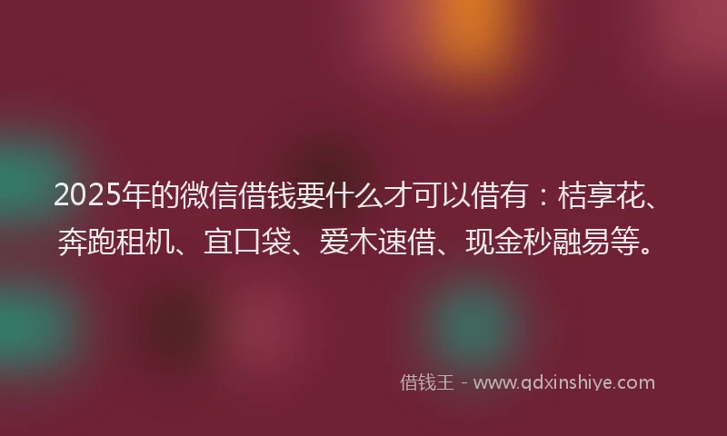 2025年的微信借钱要什么才可以借有：桔享花、奔跑租机、宜口袋、爱木速借、现金秒融易等。