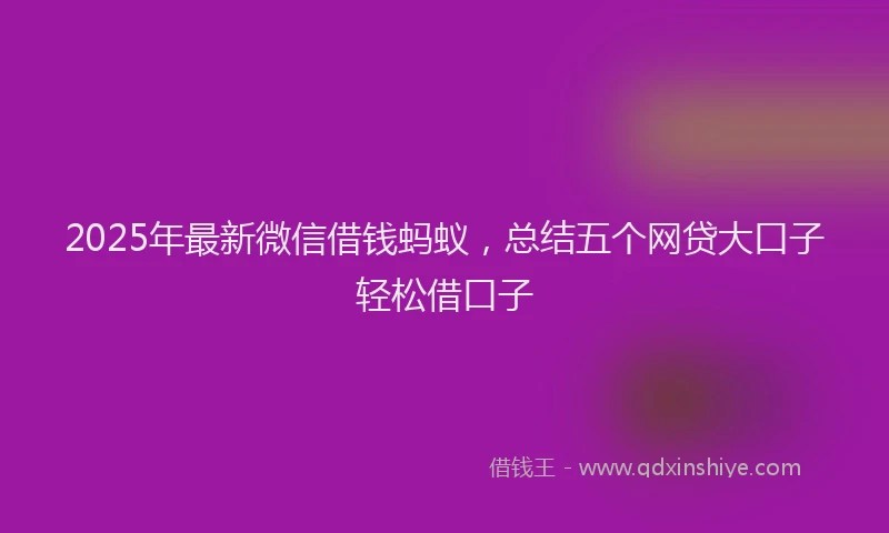2025年最新微信借钱蚂蚁，总结五个网贷大口子轻松借口子