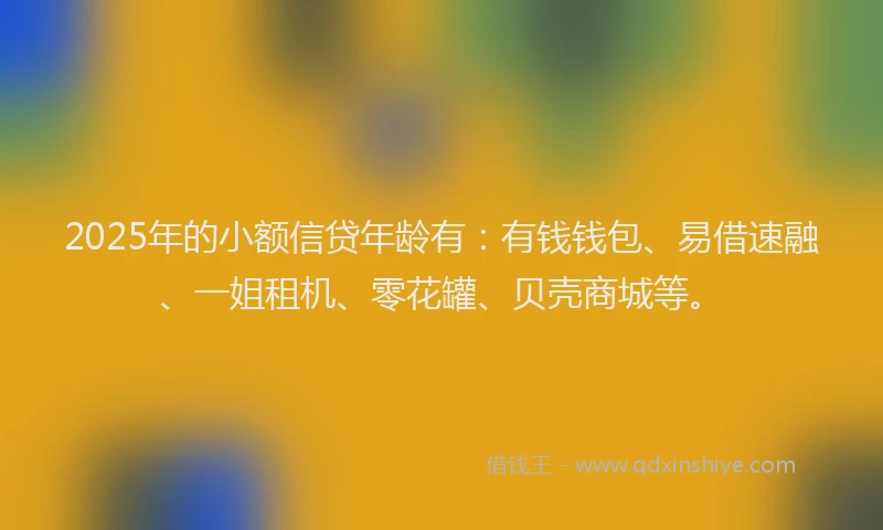 2025年的小额信贷年龄有：有钱钱包、易借速融、一姐租机、零花罐、贝壳商城等。