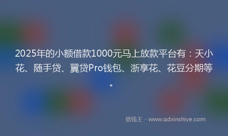 2025年的小额借款1000元马上放款平台有：天小花、随手贷、翼贷Pro钱包、浙享花、花豆分期等。