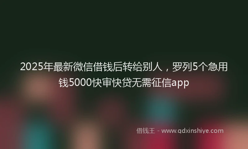 2025年最新微信借钱后转给别人，罗列5个急用钱5000快审快贷无需征信app