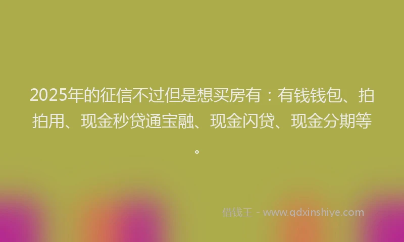 2025年的征信不过但是想买房有：有钱钱包、拍拍用、现金秒贷通宝融、现金闪贷、现金分期等。