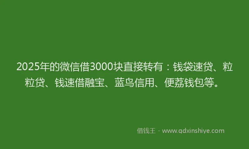 2025年的微信借3000块直接转有：钱袋速贷、粒粒贷、钱速借融宝、蓝鸟信用、便荔钱包等。