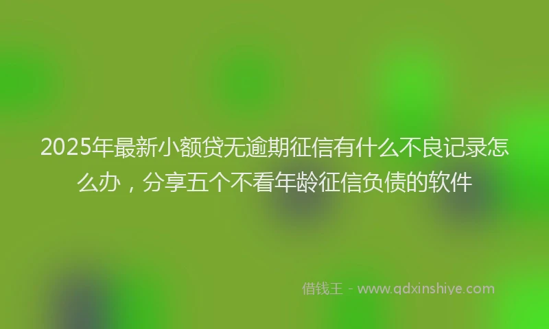 2025年最新小额贷无逾期征信有什么不良记录怎么办，分享五个不看年龄征信负债的软件