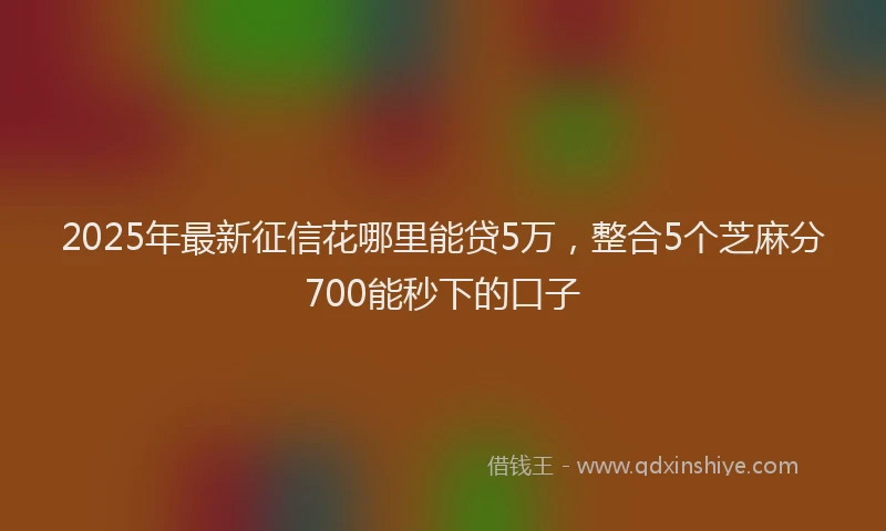 2025年最新征信花哪里能贷5万，整合5个芝麻分700能秒下的口子
