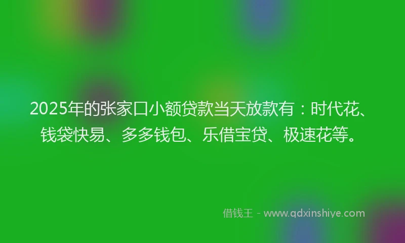 2025年的张家口小额贷款当天放款有：时代花、钱袋快易、多多钱包、乐借宝贷、极速花等。