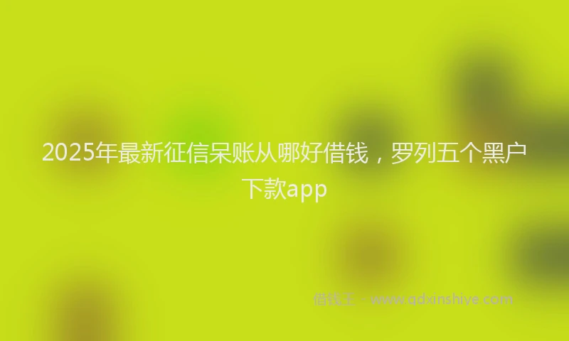 2025年最新征信呆账从哪好借钱，罗列五个黑户下款app