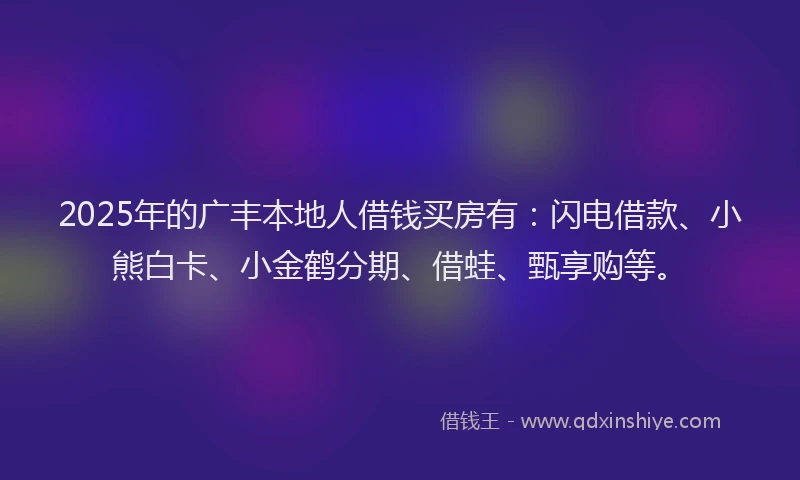 2025年的广丰本地人借钱买房有：闪电借款、小熊白卡、小金鹤分期、借蛙、甄享购等。