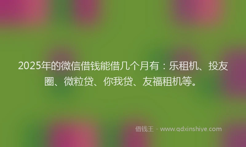 2025年的微信借钱能借几个月有：乐租机、投友圈、微粒贷、你我贷、友福租机等。