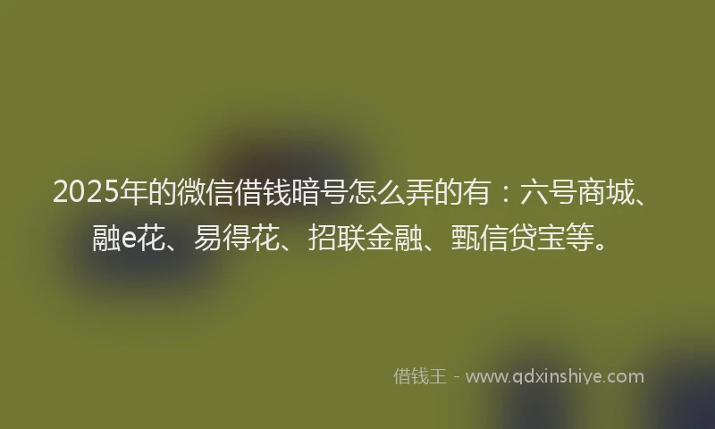 2025年的微信借钱暗号怎么弄的有：六号商城、融e花、易得花、招联金融、甄信贷宝等。