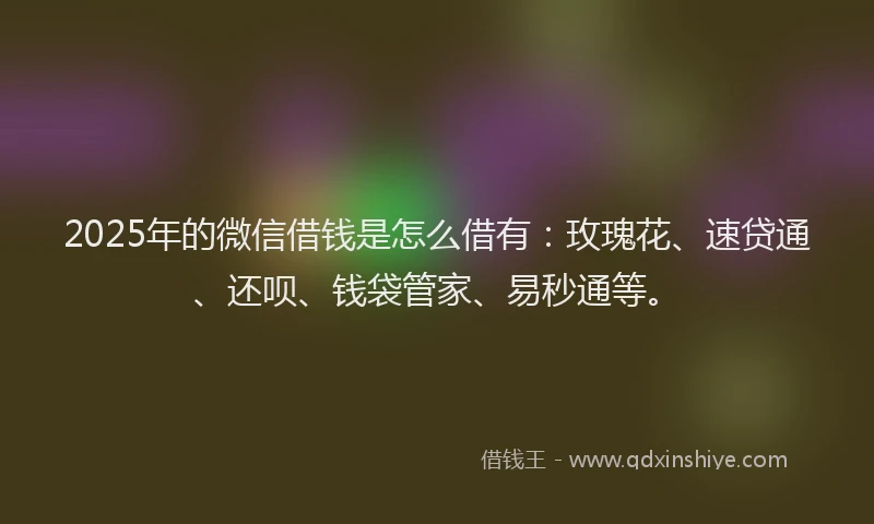 2025年的微信借钱是怎么借有：玫瑰花、速贷通、还呗、钱袋管家、易秒通等。