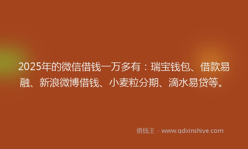 2025年的微信借钱一万多有：瑞宝钱包、借款易融、新浪微博借钱、小麦粒分期、滴水易贷等。