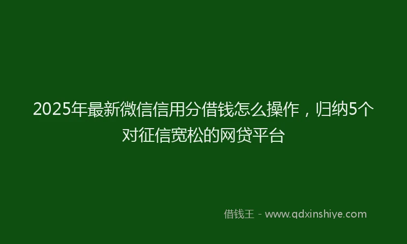 2025年最新微信信用分借钱怎么操作，归纳5个对征信宽松的网贷平台
