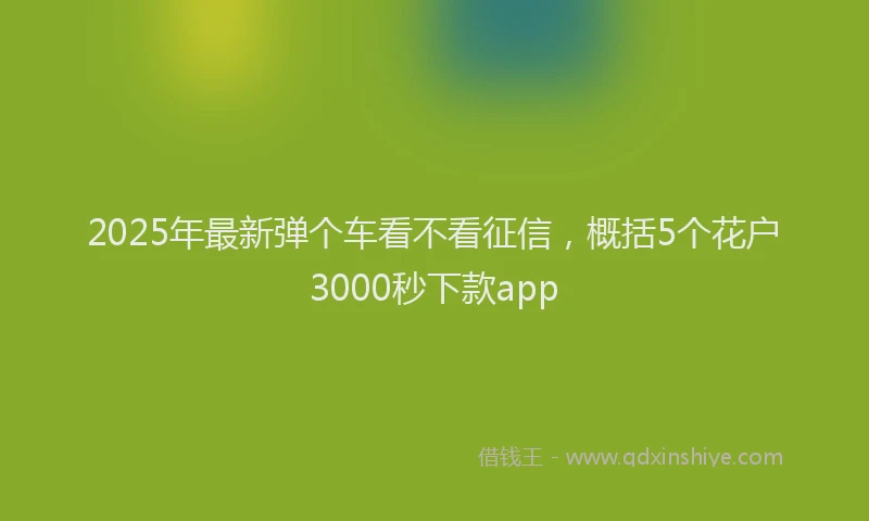 2025年最新弹个车看不看征信，概括5个花户3000秒下款app