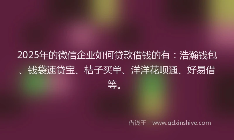 2025年的微信企业如何贷款借钱的有：浩瀚钱包、钱袋速贷宝、桔子买单、洋洋花呗通、好易借等。