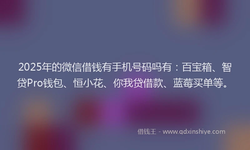 2025年的微信借钱有手机号码吗有：百宝箱、智贷Pro钱包、恒小花、你我贷借款、蓝莓买单等。