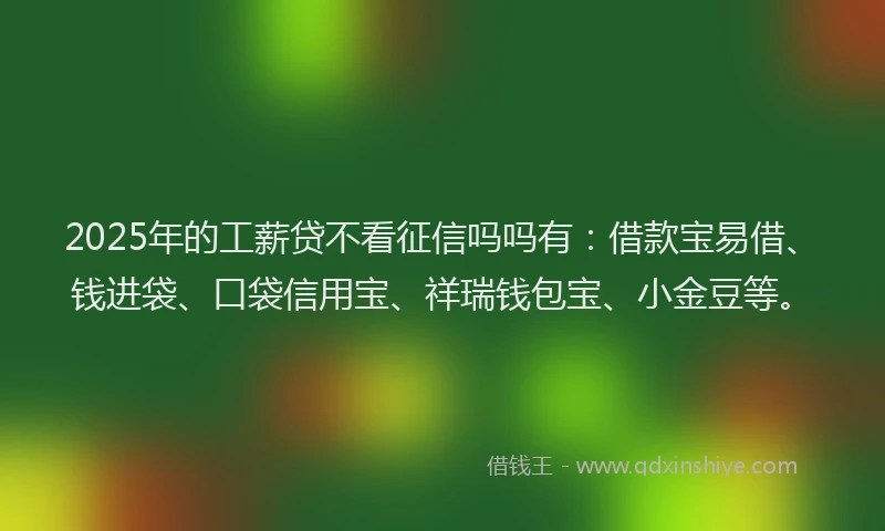 2025年的工薪贷不看征信吗吗有：借款宝易借、钱进袋、口袋信用宝、祥瑞钱包宝、小金豆等。