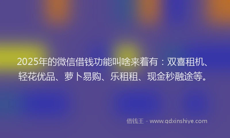 2025年的微信借钱功能叫啥来着有：双喜租机、轻花优品、萝卜易购、乐租租、现金秒融途等。